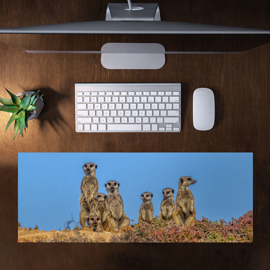 Meerkat Family Large Desk Pad by Fanie Heymans