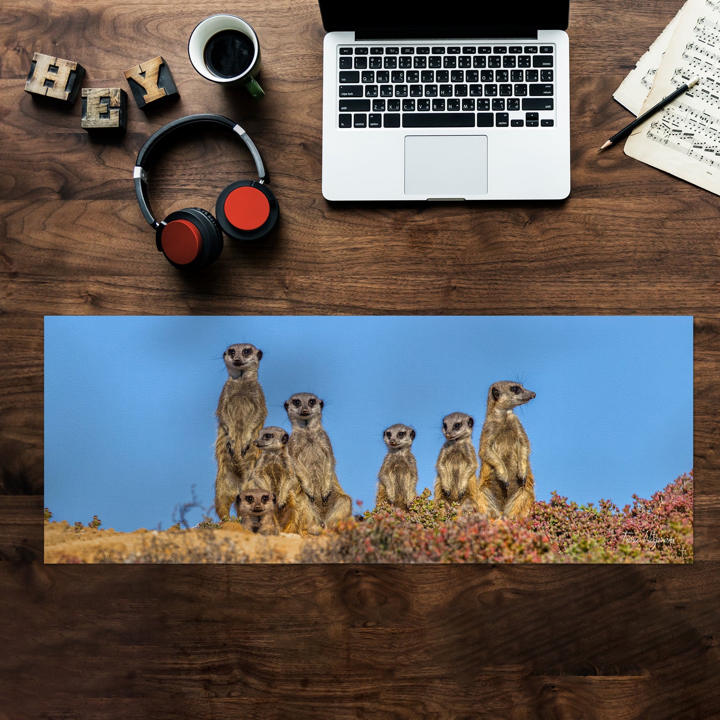 Meerkat Family Desk Pad by Fanie Heymans