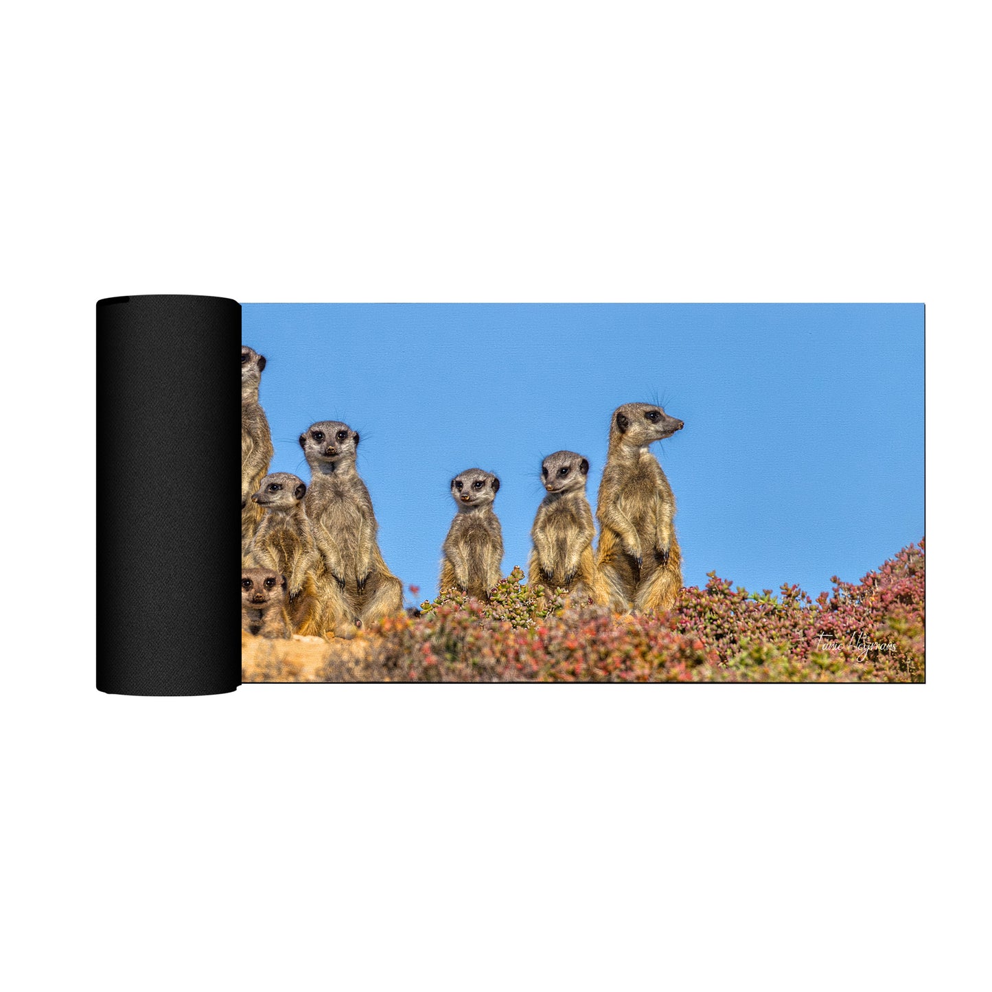 Meerkat Family Desk Pad by Fanie Heymans