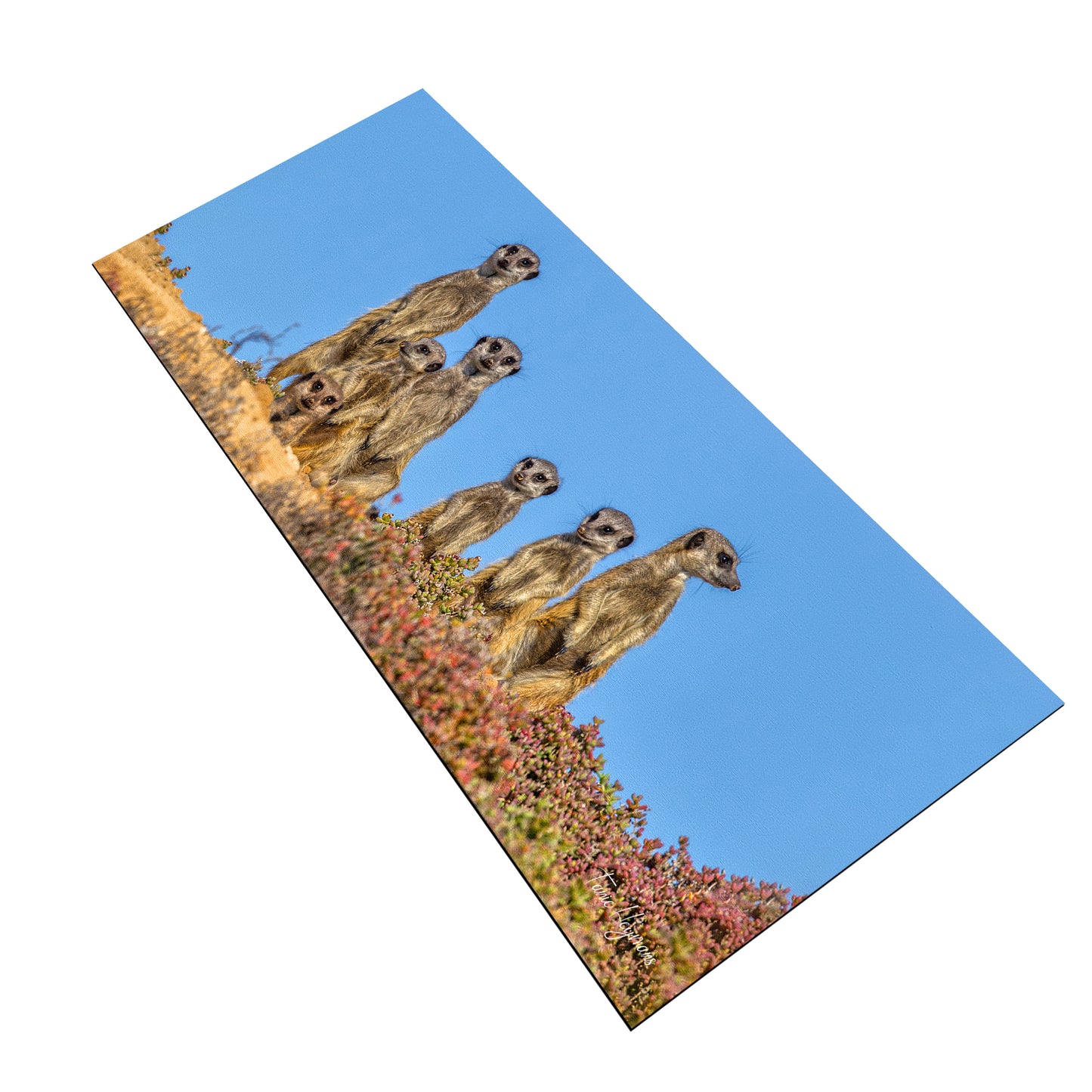 Meerkat Family Desk Pad by Fanie Heymans