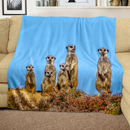 Meerkat Stare Light Weight Fleece Blanket by Fanie Heymans