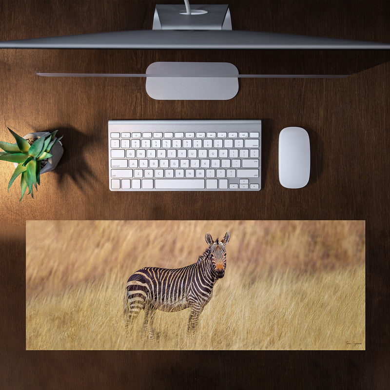 Mountain Zebra Desk Pad by Fanie Heymans