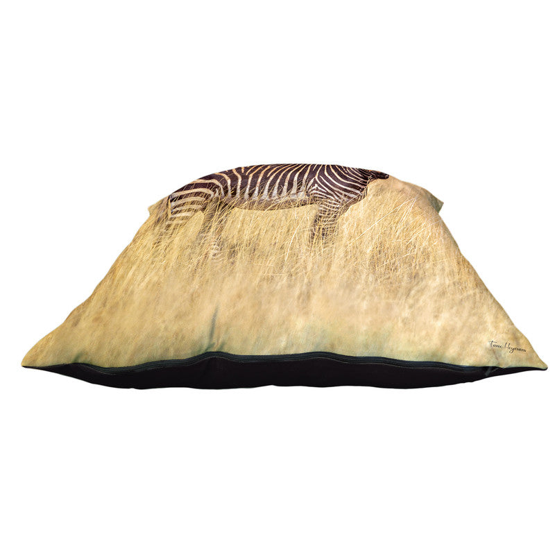 Mountain Zebra Luxury Scatter by Fanie Heymans