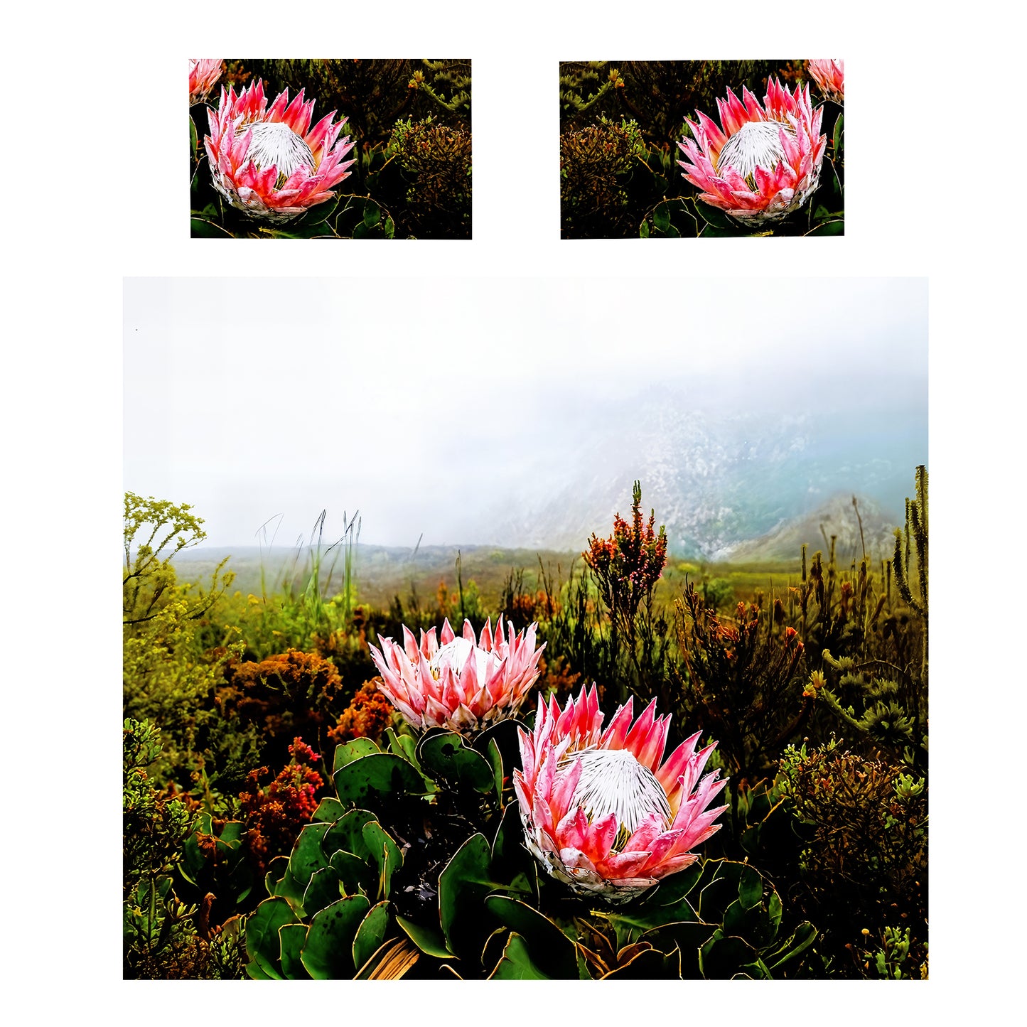Mountain Proteas Duvet Cover Set