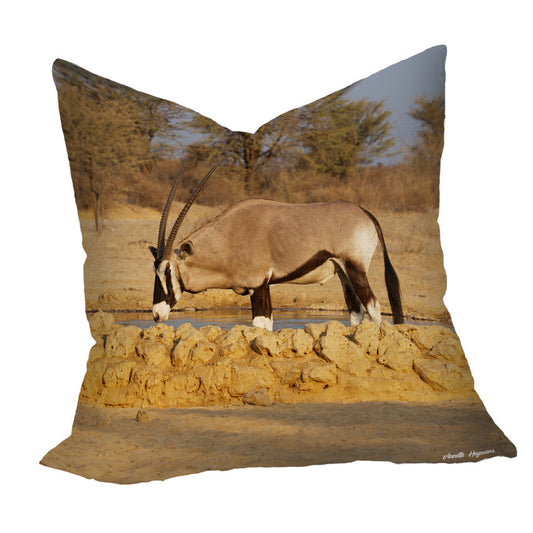 Oryx Bull Luxury Scatter by Annette Heymans