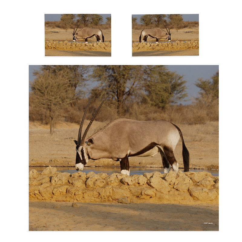 Oryx Bulls Duvet Cover Set by Annette Heymans