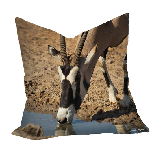 Oryx Portrait Luxury Scatter By Annette Heymans