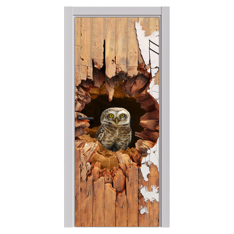 Owl Burrow Door Decoupage