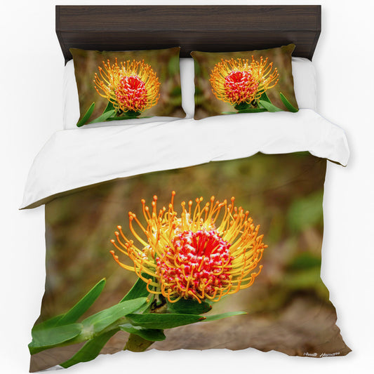 Pincushion Protea Duvet Cover Set by Annette Heymans