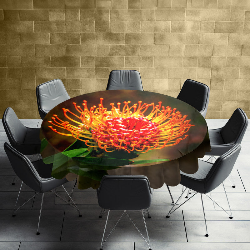 Pincushion Protea Round Tablecloth by Annette Heymans