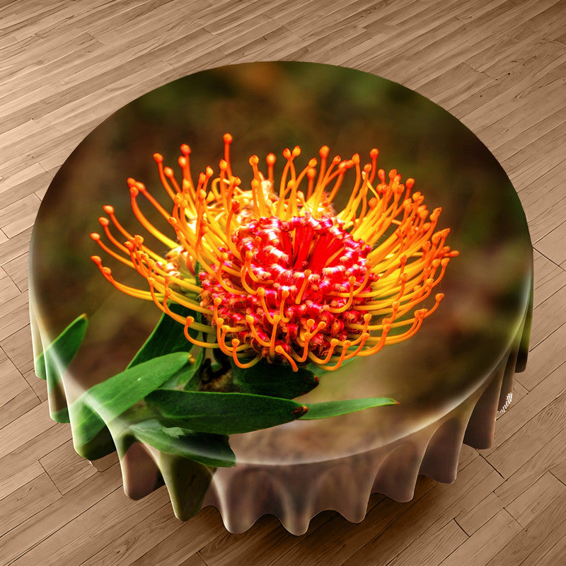 Pincushion Protea Round Tablecloth by Annette Heymans