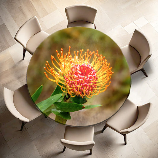 Pincushion Protea Round Tablecloth by Annette Heymans