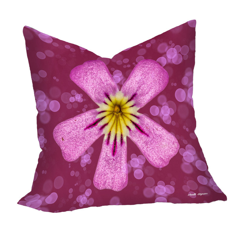 Pink Phlox Luxury Scatter by Annette Heymans