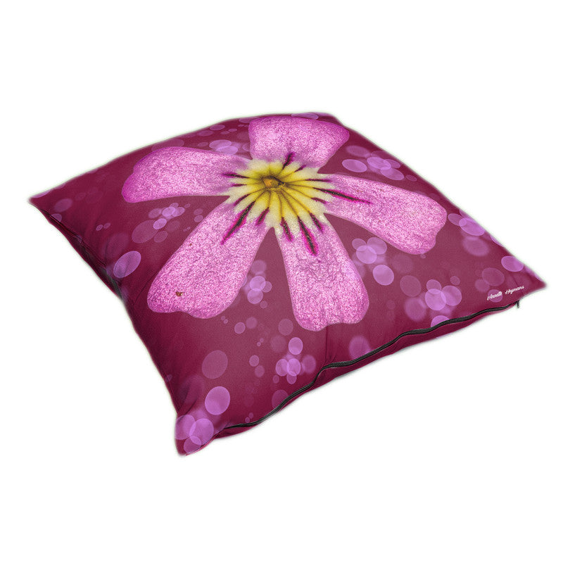 Pink Phlox Luxury Scatter by Annette Heymans