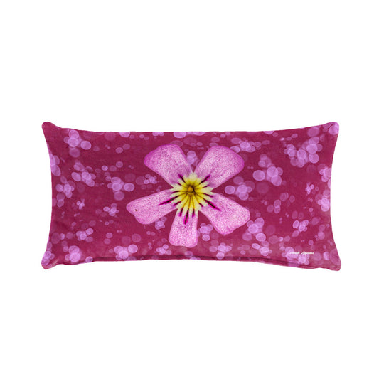 Pink Phlox Oblong Luxury Scatter by Annette Heymans