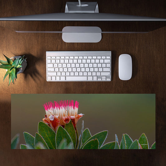 Pink Protea Large Desk Pad by Annette Heymans