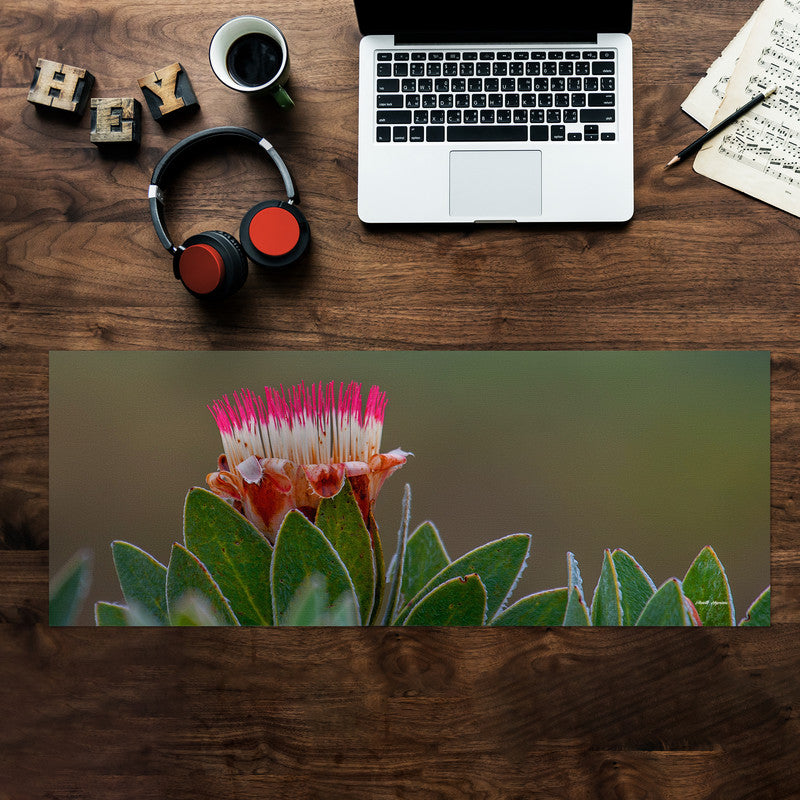 Pink Protea Large Desk Pad by Annette Heymans