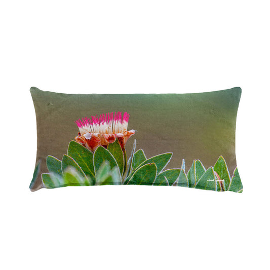 Pink Protea Oblong Luxury Scatter by Annette Heymans