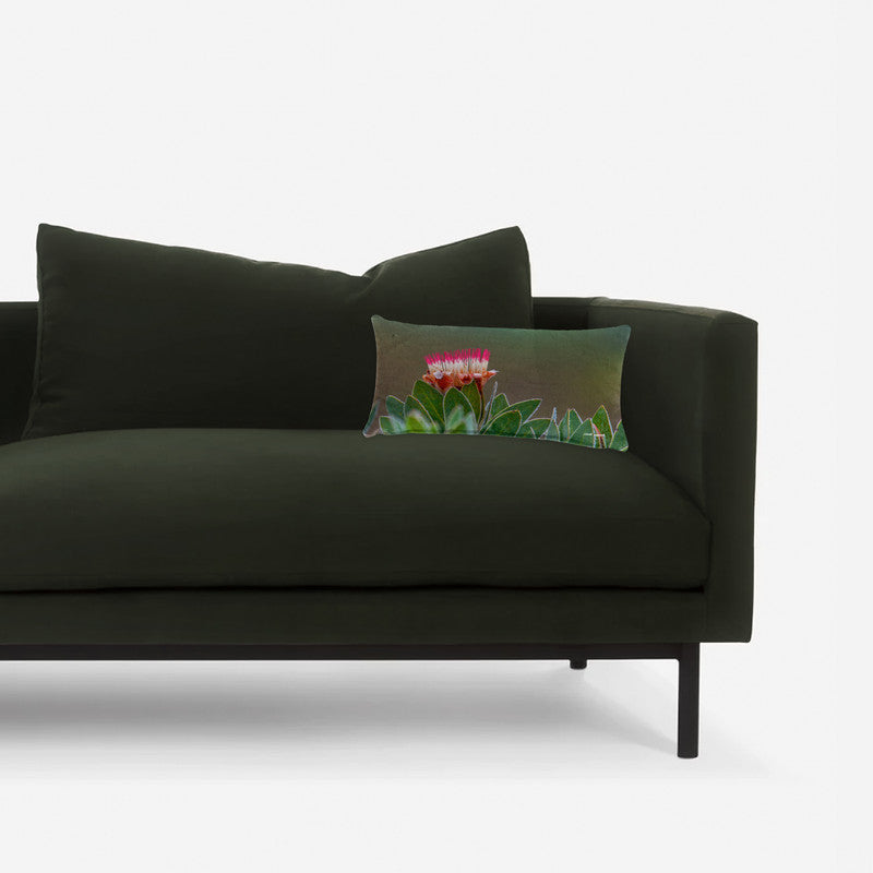 Pink Protea Oblong Luxury Scatter by Annette Heymans