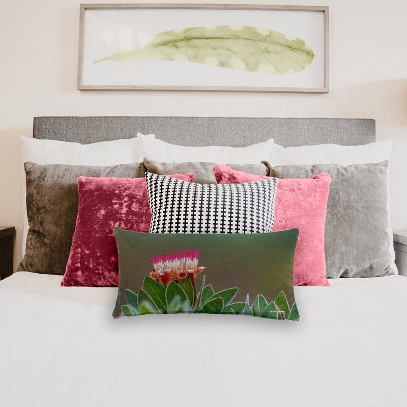 Pink Protea Oblong Luxury Scatter by Annette Heymans