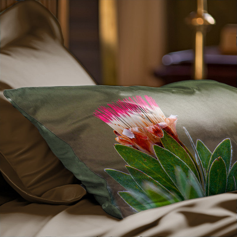 Pink Protea Oblong Luxury Scatter by Annette Heymans