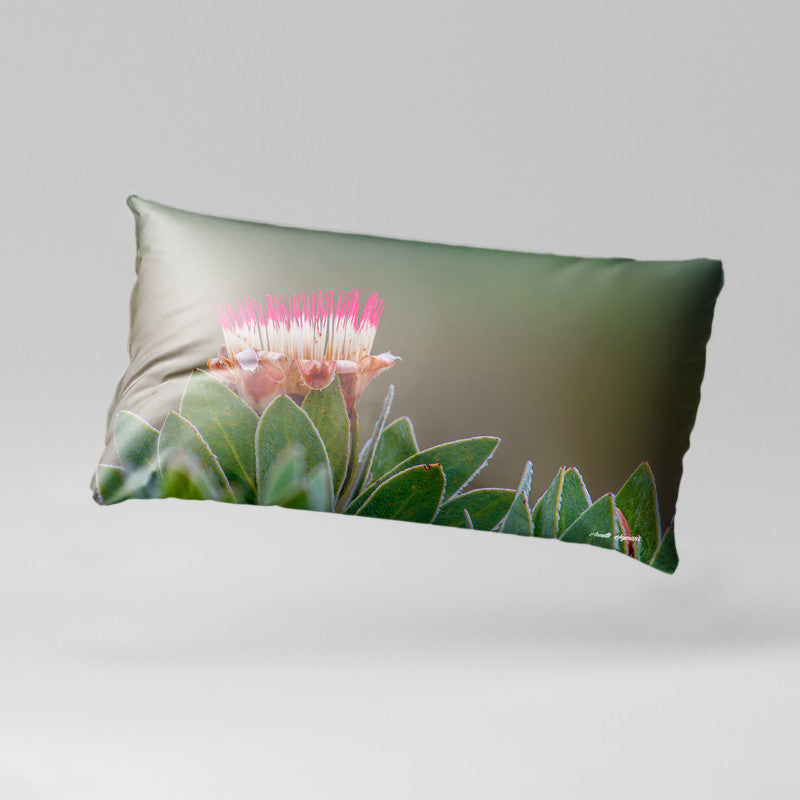 Pink Protea Oblong Luxury Scatter by Annette Heymans