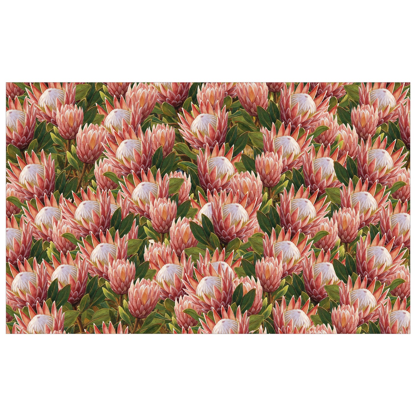 Pink Painted Proteas Rectangle Tablecloth