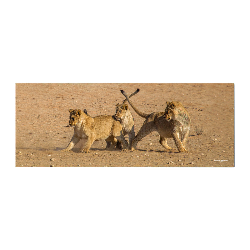 Playful Lion Cubs Large Desk Pad by Annette Heymans
