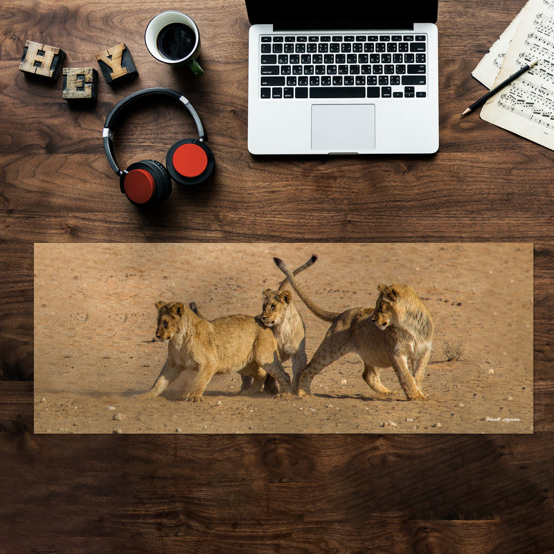 Playful Lion Cubs Large Desk Pad by Annette Heymans