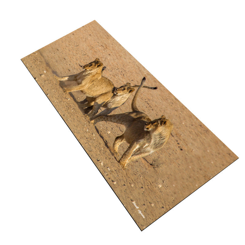 Playful Lion Cubs Large Desk Pad by Annette Heymans