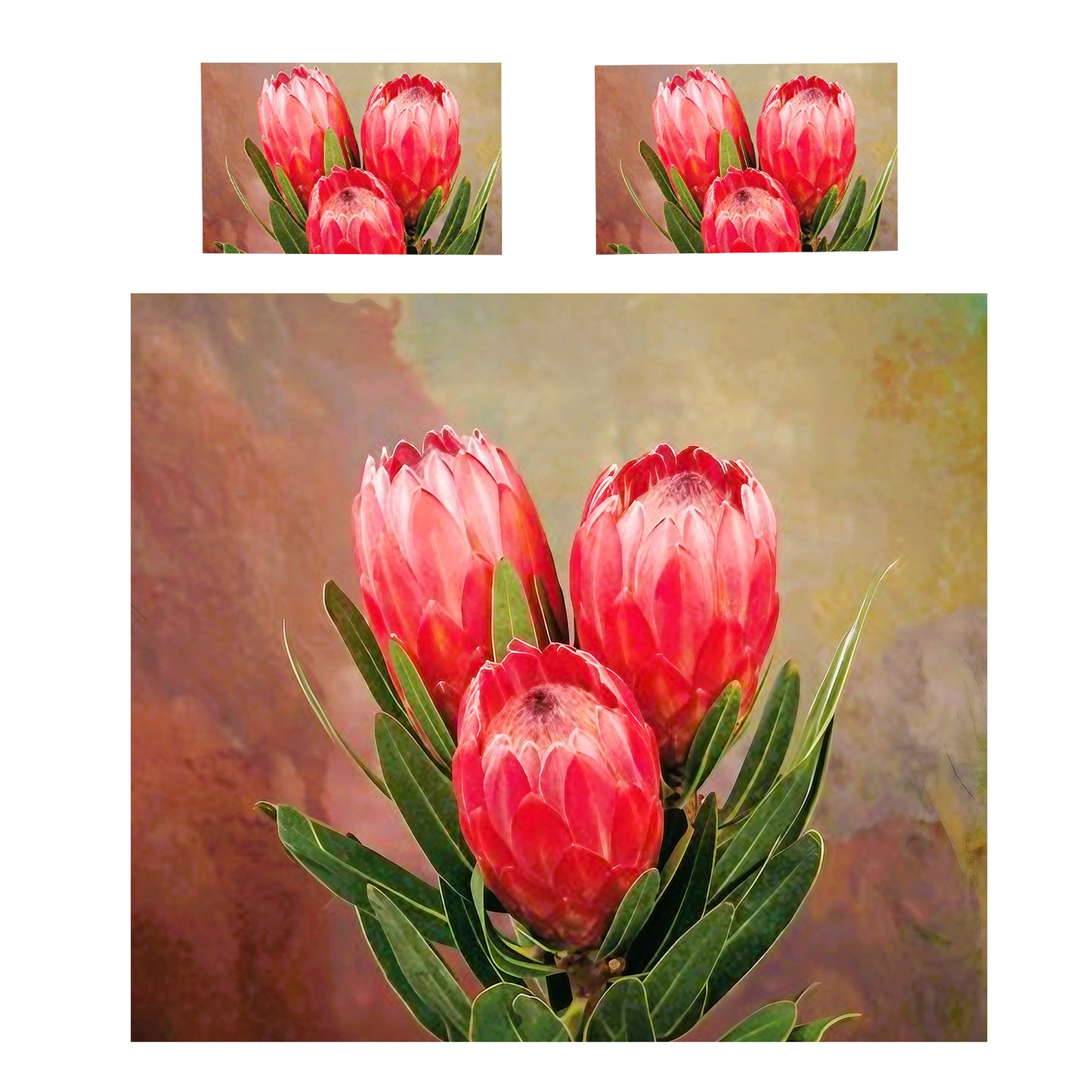 Protea Pride of the Cape Duvet Cover Set