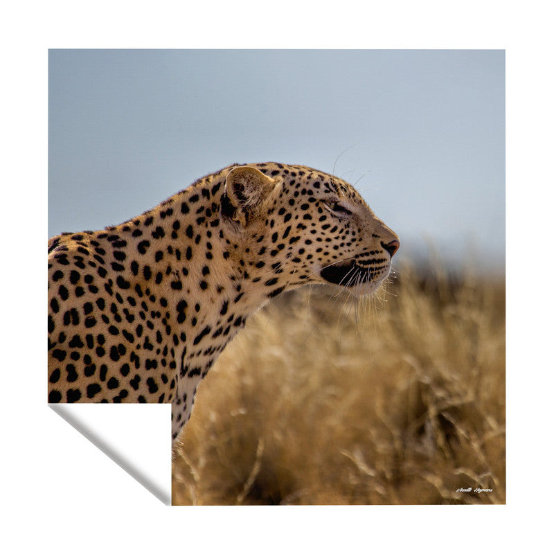 Prowling the Savannah Square Tablecloth By Annette Heymans