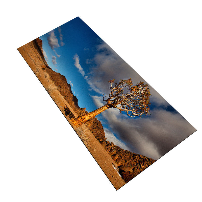 Quiver Tree Large Desk Pad By Annette Heymans