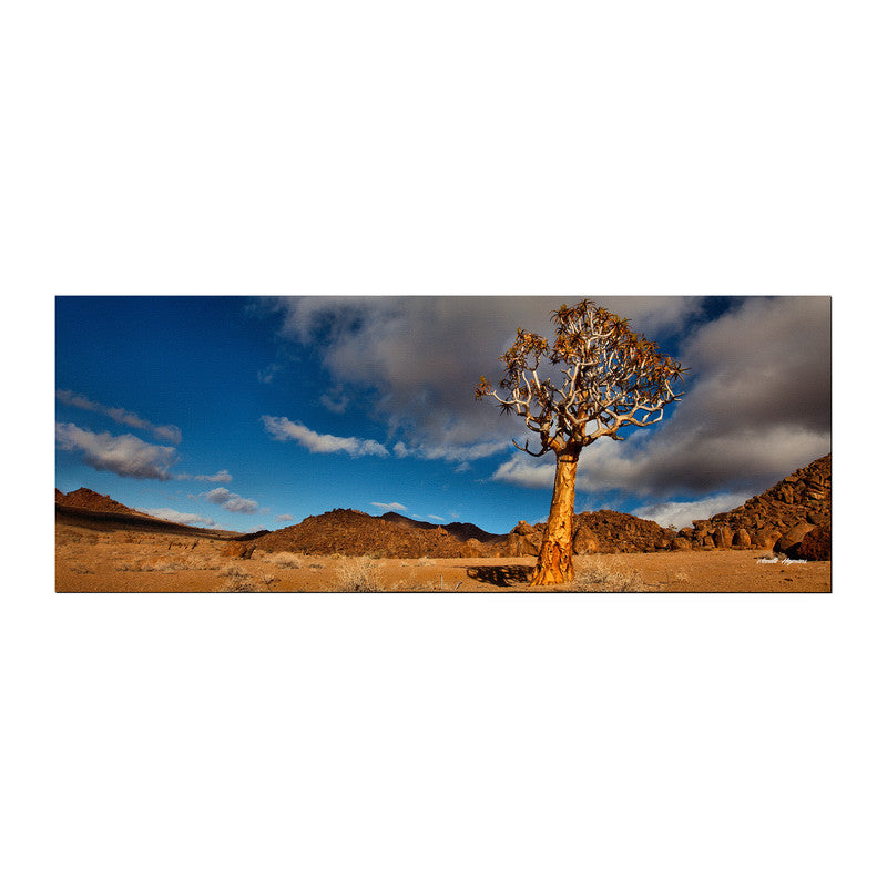 Quiver Tree Large Desk Pad By Annette Heymans