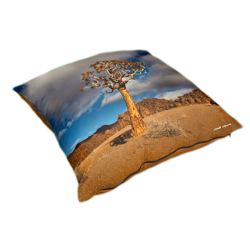 Quiver Tree Luxury Scatter By Annette Heymans