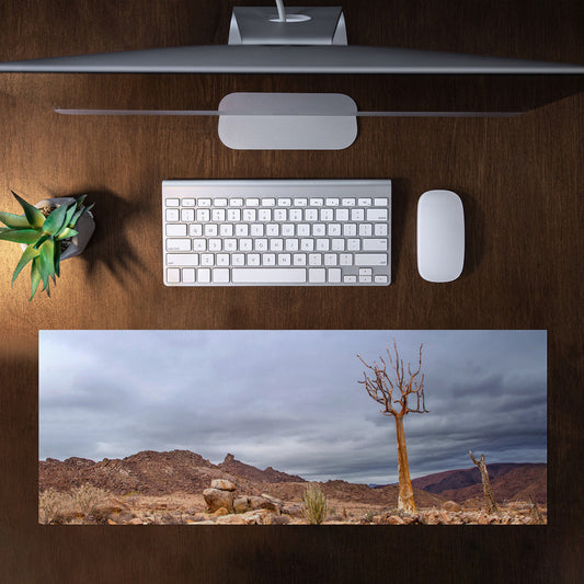 Quiver Tree Richtersveld Large Desk Pad By Fanie Heymans