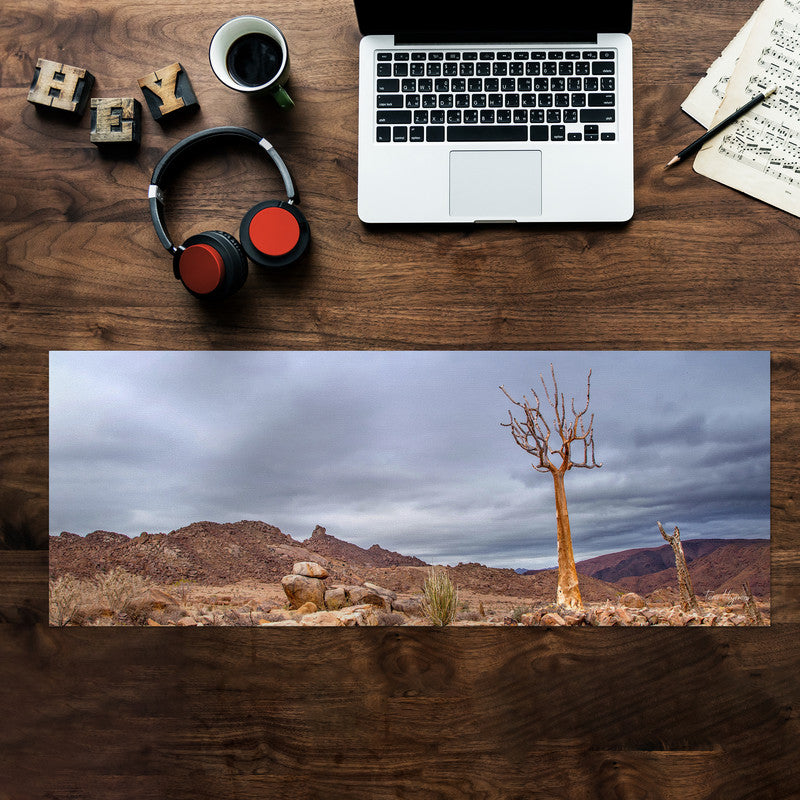 Quiver Tree Richtersveld Large Desk Pad By Fanie Heymans