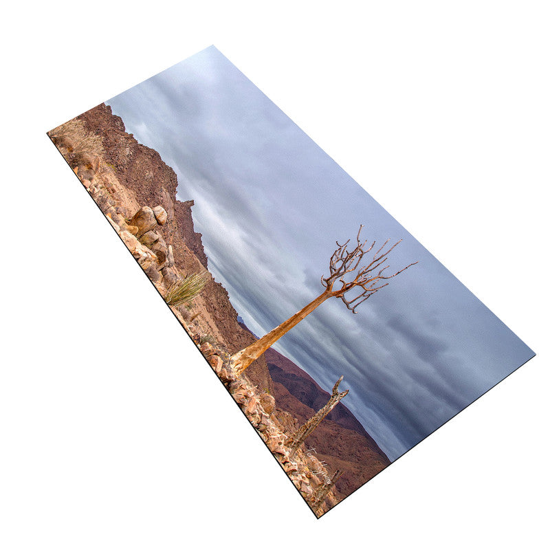 Quiver Tree Richtersveld Large Desk Pad By Fanie Heymans