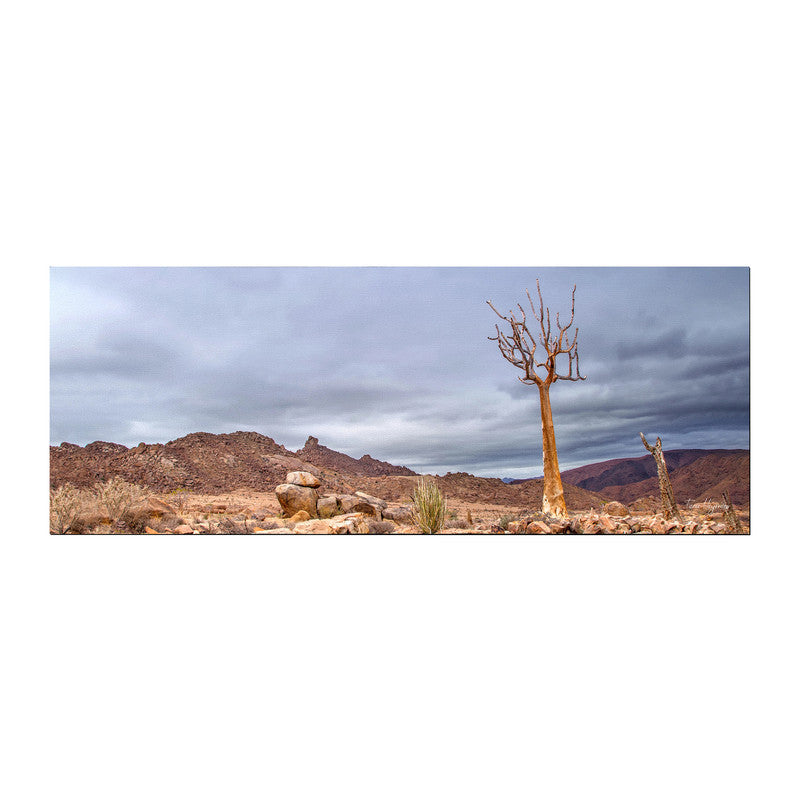 Quiver Tree Richtersveld Large Desk Pad By Fanie Heymans
