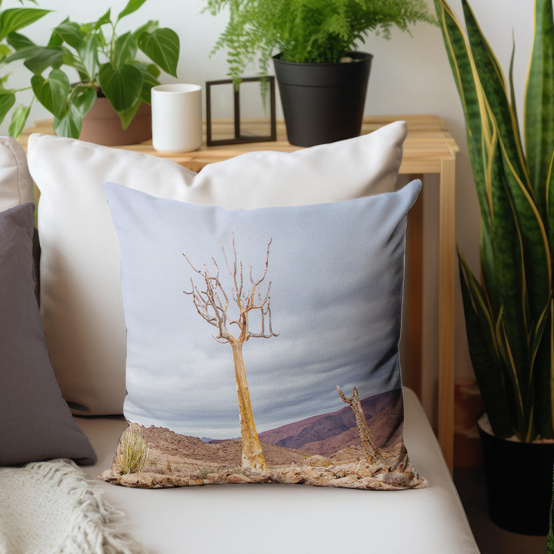 Quiver Tree Richtersveld Luxury Scatter By Fanie Heymans