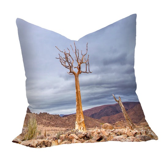 Quiver Tree Richtersveld Luxury Scatter By Fanie Heymans