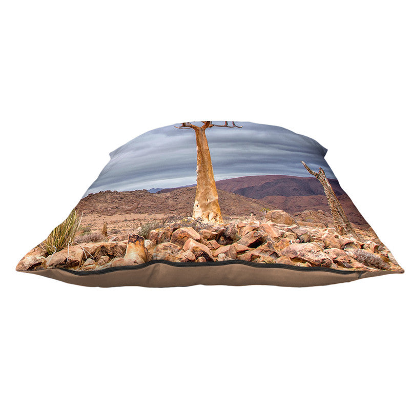 Quiver Tree Richtersveld Luxury Scatter By Fanie Heymans