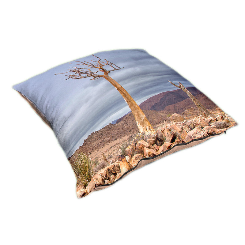 Quiver Tree Richtersveld Luxury Scatter By Fanie Heymans