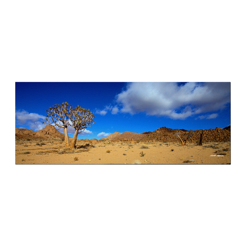 Quiver tree Valley Large Desk Pad By Annette Heymans