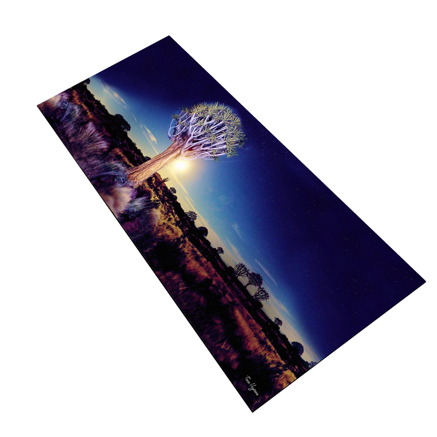 Quiver tree in Moonlight Desk Pad by Fanie Heymans