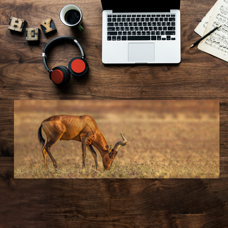 Red Hartebeest Grazing Desk Pad by Fanie Heymans