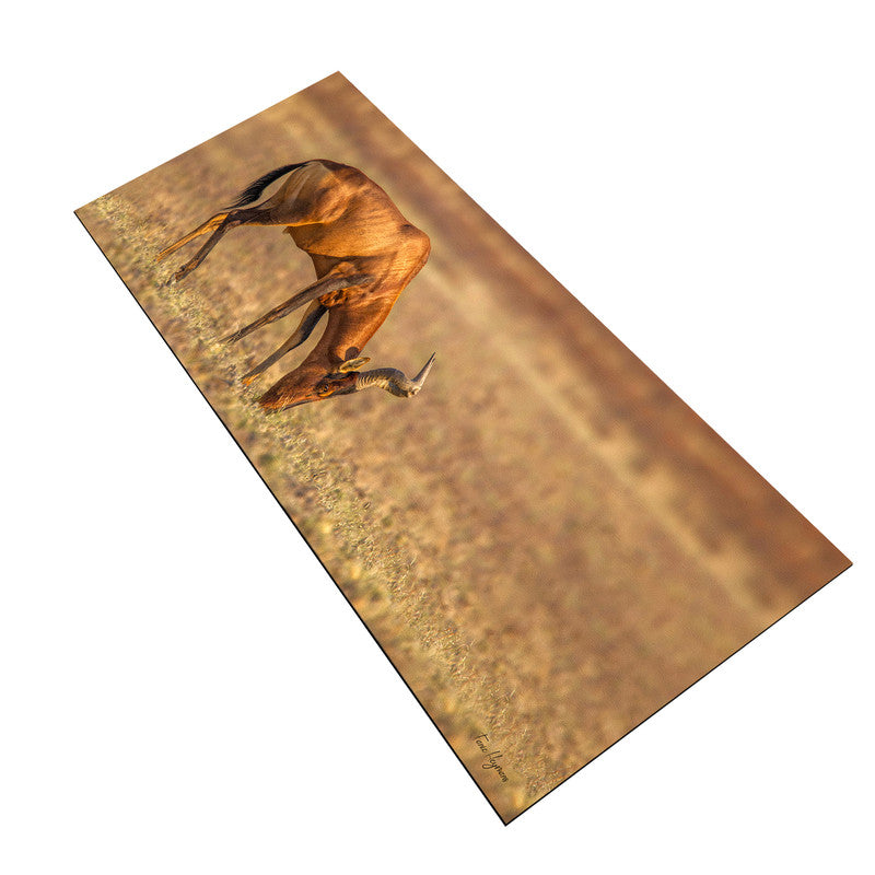 Red Hartebeest Grazing Desk Pad by Fanie Heymans