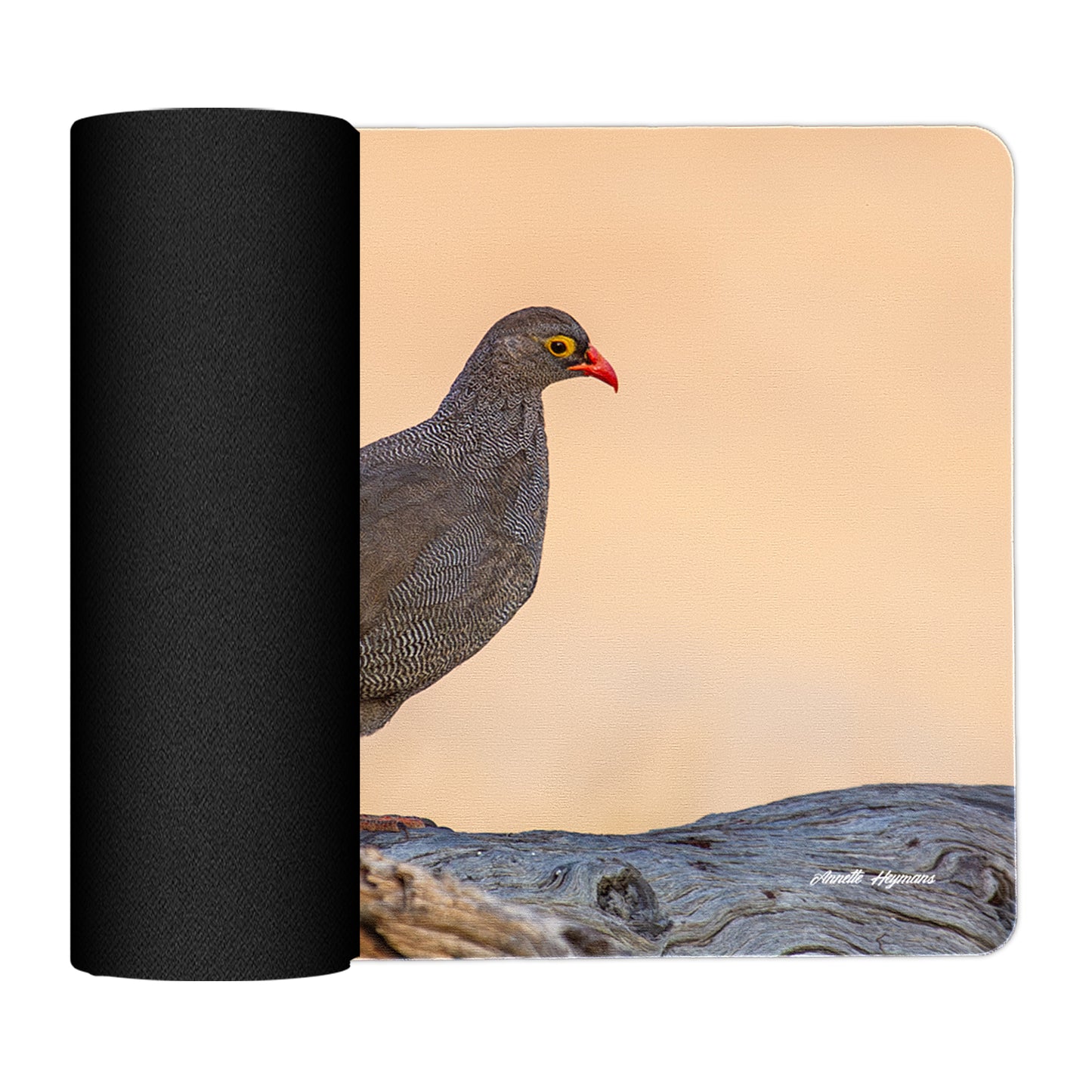Red-billed Francolin Placemats by Annette Heymans