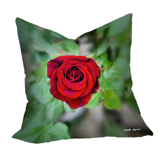 Red Rose Luxury Scatter by Annette Heymans