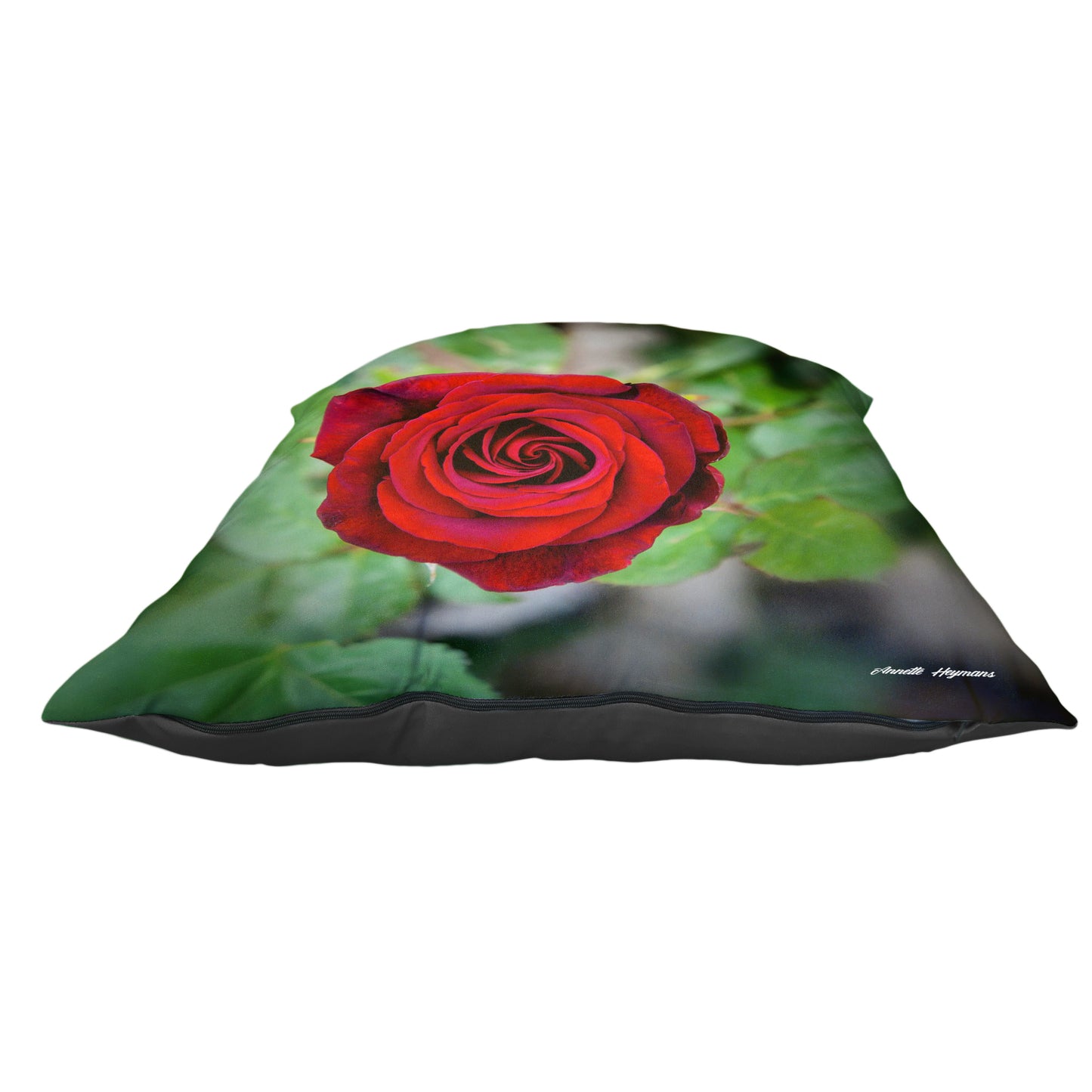Red Rose Luxury Scatter by Annette Heymans